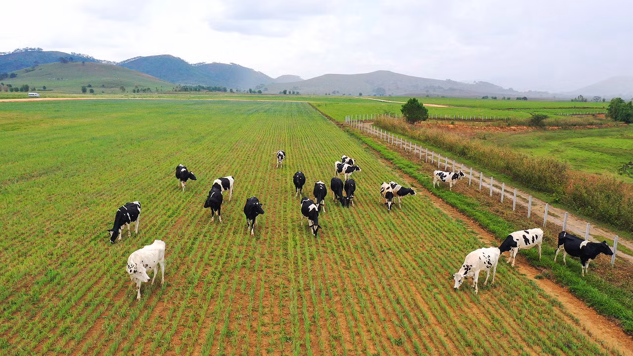 Vinamilk vào Top 5 cổ phiếu đáng quan tâm của Đông Nam Á -0