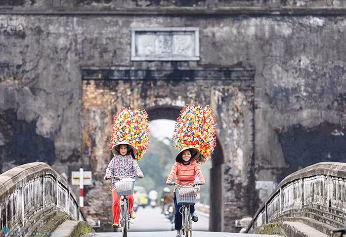 Màu hoa giấy bên bến sông xưa -0