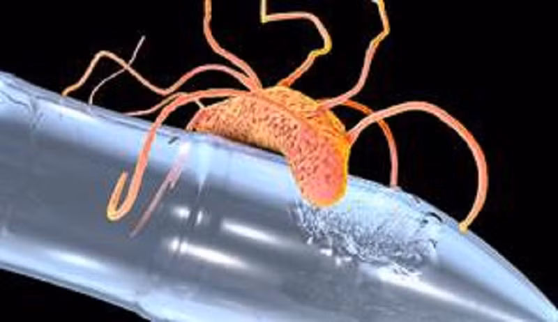 Đi tìm Enzyme giúp phân hủy vải và polyester -0