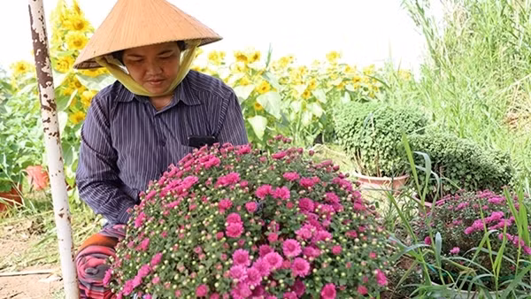 Hoa kiểng, nông sản Cần Thơ được giá