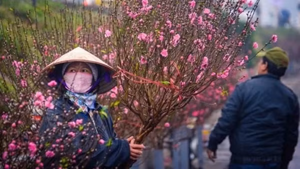 28 Tết, miền Bắc vẫn rét cóng; Nam Bộ nắng đẹp