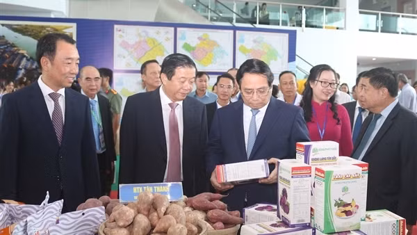 Phát huy nội lực, khai thác tối đa tiềm năng, lợi thế nông nghiệp, liên kết vùng để phát triển
