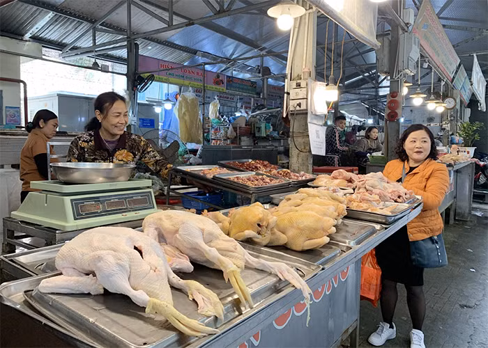 Mắc cúm A/H5N1 dễ tử vong, cảnh báo không ăn thịt gia cầm sống, săn bắt chim hoang dã -0
