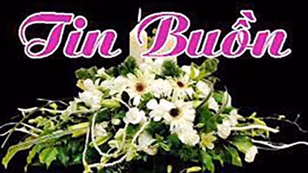 Tin buồn: Đồng chí Thượng tá Lê Thị Hoài An từ trần