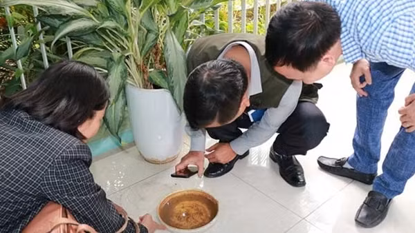 Sốt xuất huyết, bệnh do thời tiết nồm ẩm gia tăng