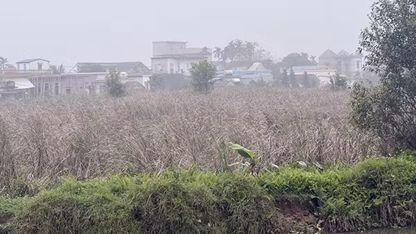 Bài 1: Không ly hương vẫn ly nông