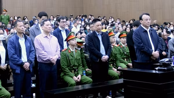 Nhà đầu tư cần làm gì để nhận lại tiền đã mua trái phiếu Tân Hoàng Minh?