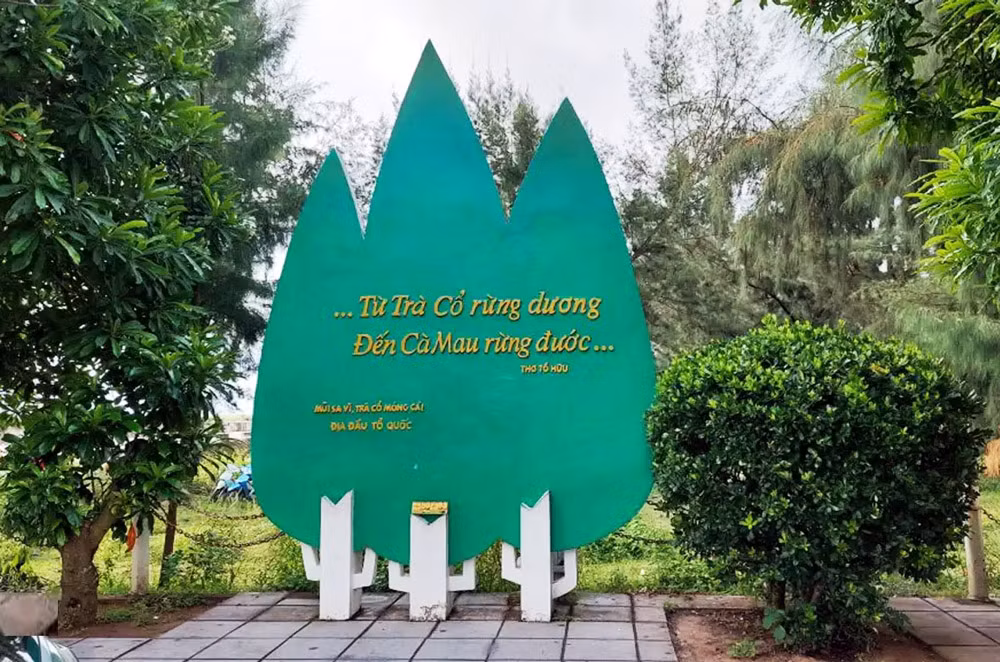 2- mui sa vi-.jpg -1