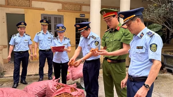 Kiểm tra đột xuất, lộ nhiều vi phạm về buôn lậu, hàng giả