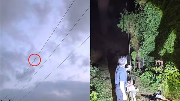 EVNHANOI khuyến cáo tai nạn từ các vụ thả diều gần đường dây điện