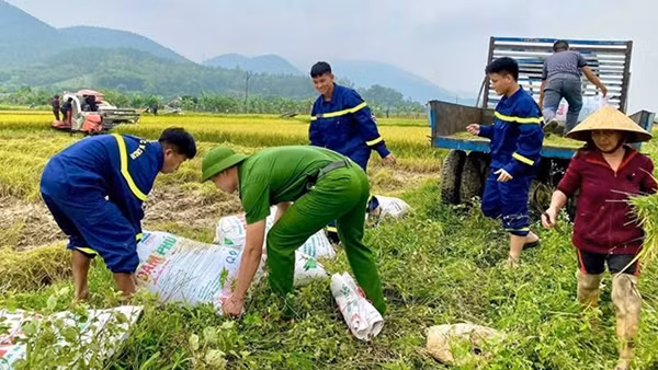 Cảnh sát PCCC & CNCH giúp dân thu hoạch lúa sau mưa lớn