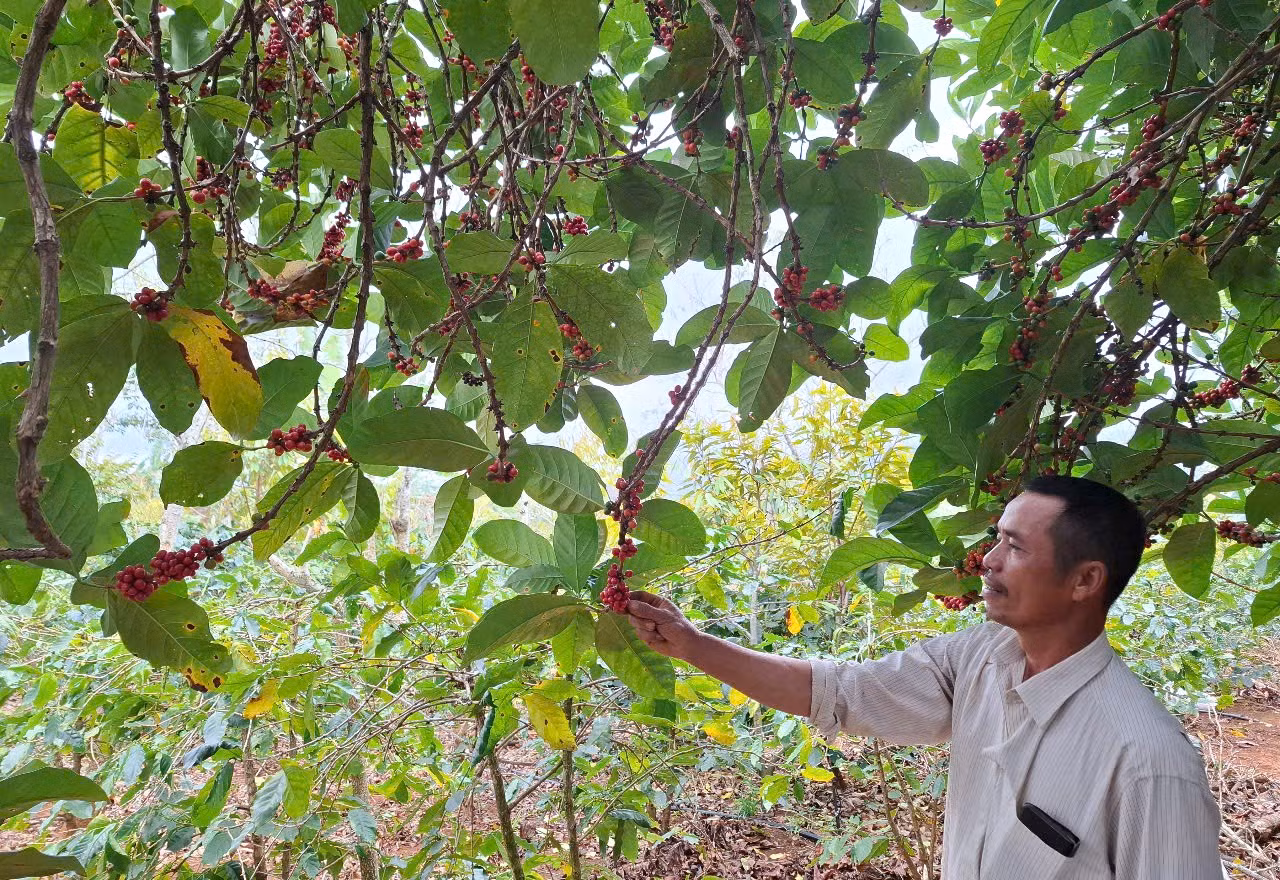 Thắp lửa ở vùng rừng lạnh -0