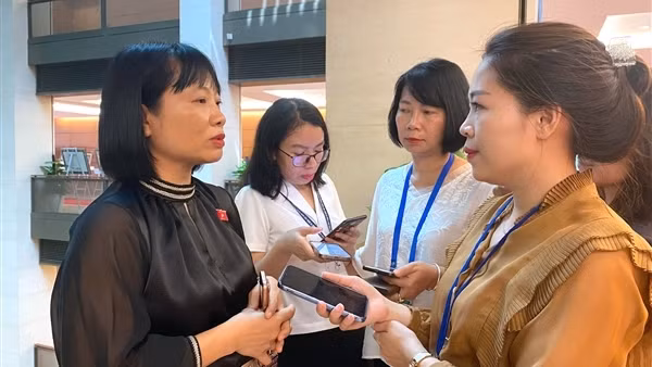 Từ vụ Hoa hậu Thuỳ Tiên: Cần xử lý nghiêm người nổi tiếng tiếp tay hàng giả
