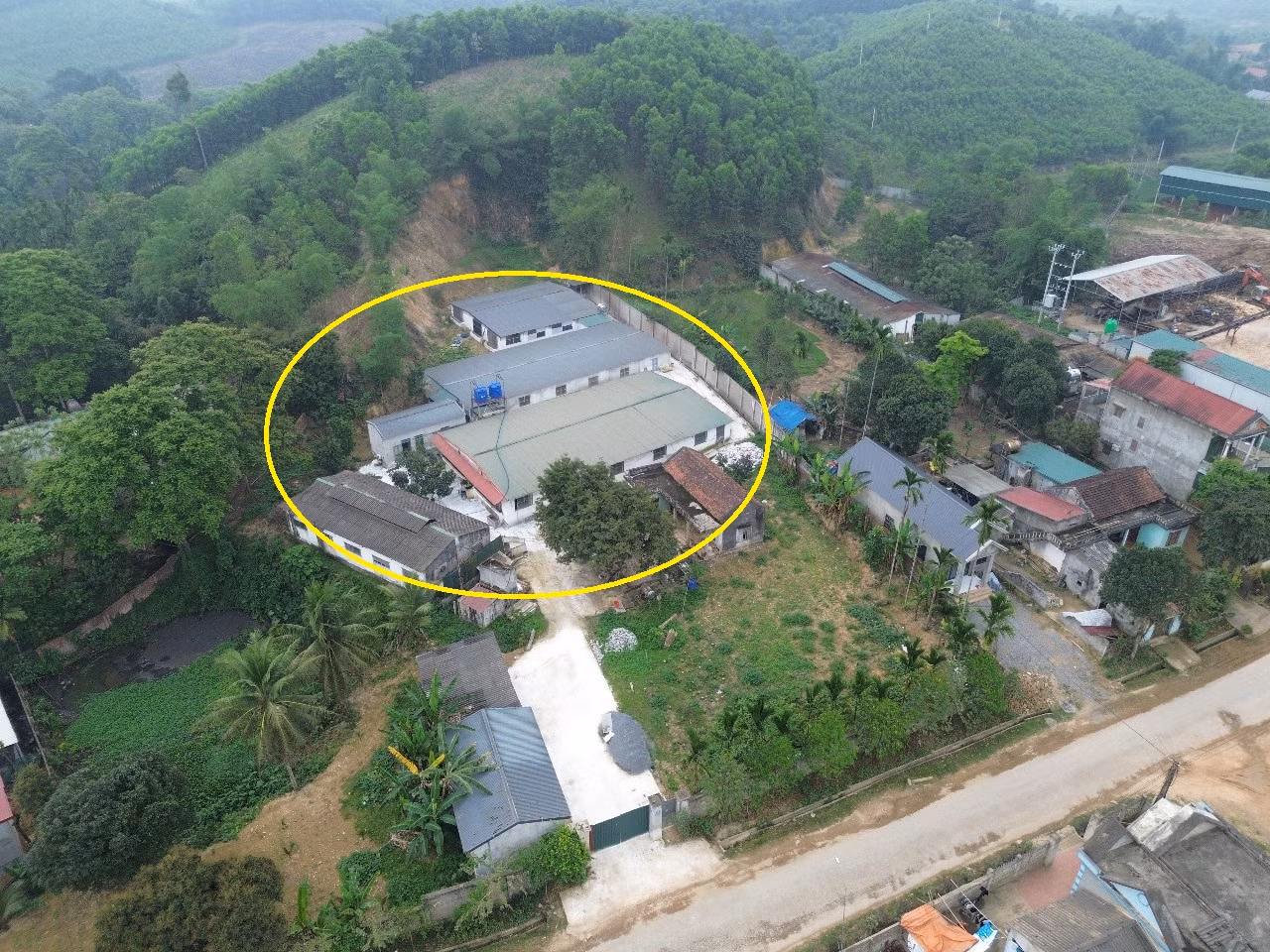 Đình chỉ trại nuôi lợn gây ô nhiễm sau phản ánh của Báo CAND -0