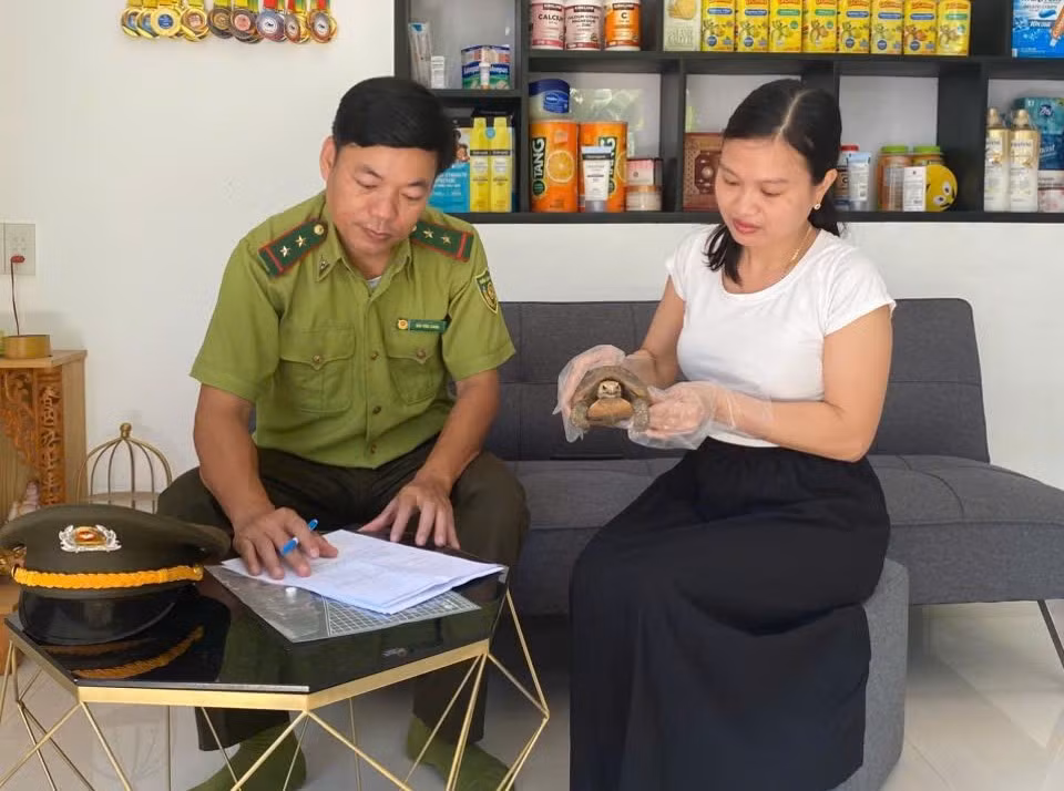 Người dân giao nộp tê tê Java, rùa núi vàng, trăn gấm quý hiếm -0