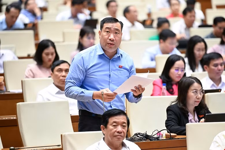 Đại biểu Quốc hội: 
