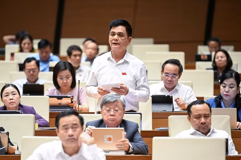 Đại biểu Quốc hội: 