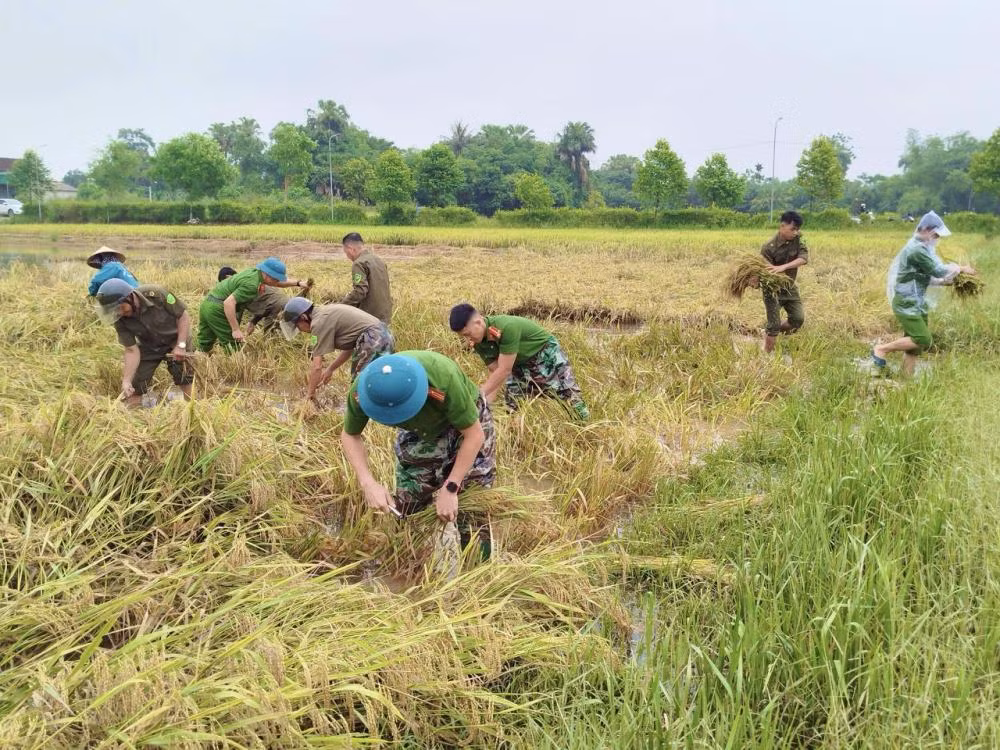Không khí lạnh “đổ bộ” giữa mùa hè có bất thường? -0