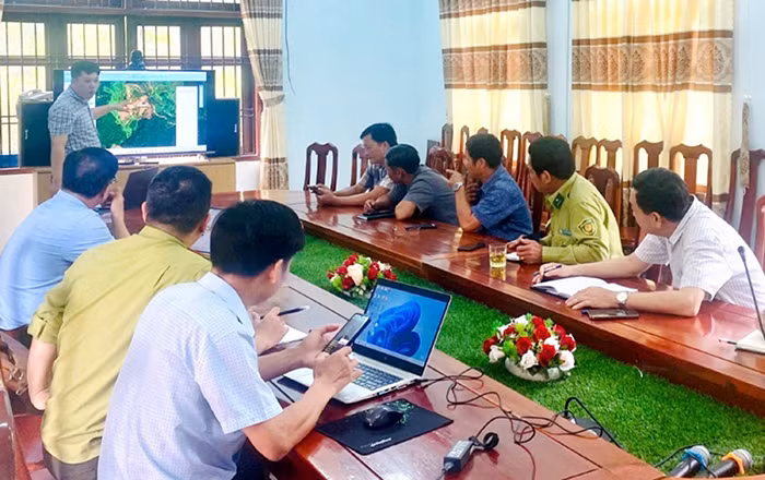 Cập nhật diễn biến rừng để nâng cao hiệu quả quản lý, bảo vệ rừng -0