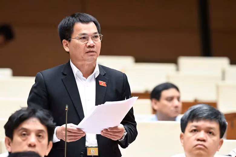 Đại biểu Quốc hội: 