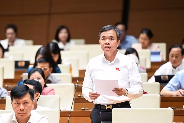 Đại biểu Quốc hội: 