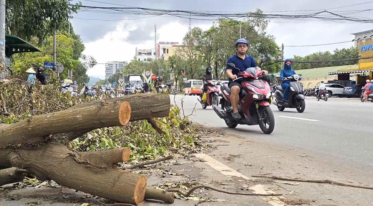 Nghệ An: Vì sao hàng nghìn cây xanh đổ, gãy chưa được thu dọn sao bão? -0