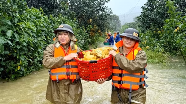 Sau bão, người dân xứ Nghệ lại gồng mình với lũ lụt