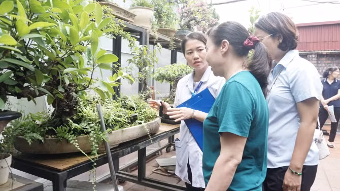 Sốt xuất huyết tiếp tục gia tăng, 11 người tử vong -0