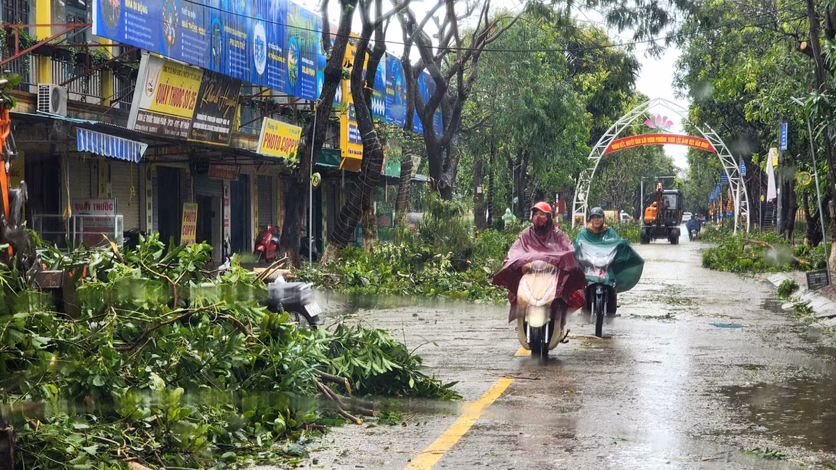 Nghệ An: Vì sao hàng nghìn cây xanh đổ, gãy chưa được thu dọn sao bão? -0