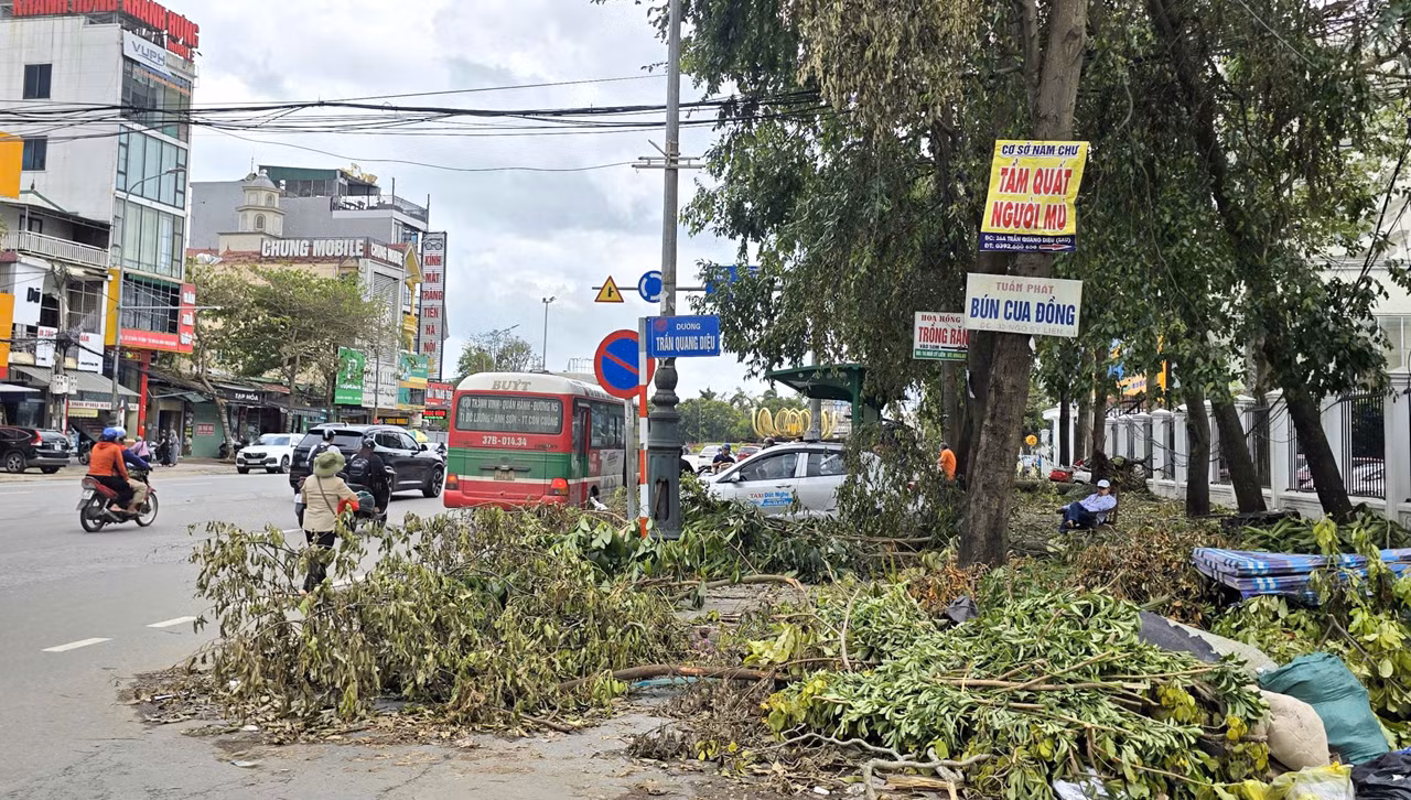 Nghệ An: Vì sao hàng nghìn cây xanh đổ, gãy chưa được thu dọn sao bão? -0