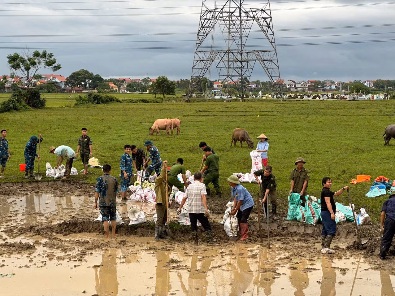 Công an Bắc Giang: Dốc toàn lực giúp dân chống lũ, đắp đê, chuyển người -3