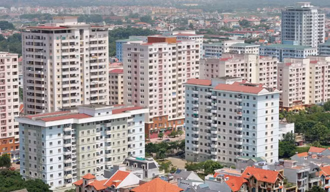 Xử lý hơn 8,8 nghìn hồ sơ về đất đai đang tồn đọng ở cơ quan thuế TP Hồ Chí Minh -0