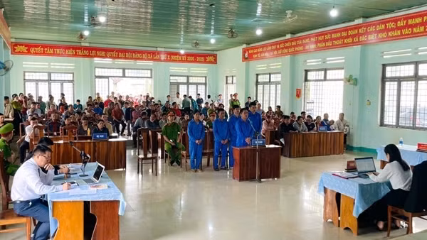 Xét xử vụ án hủy hoại rừng mà Báo CAND phản ánh