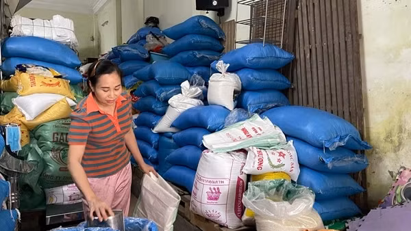 Nguồn cung gạo dồi dào, người dân không nên tích trữ hàng hóa&nbsp;quá mức