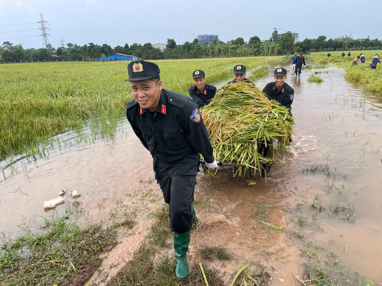 Di dời, đảm bảo an toàn sức khỏe, tài sản cho người dân vùng trũng. -0