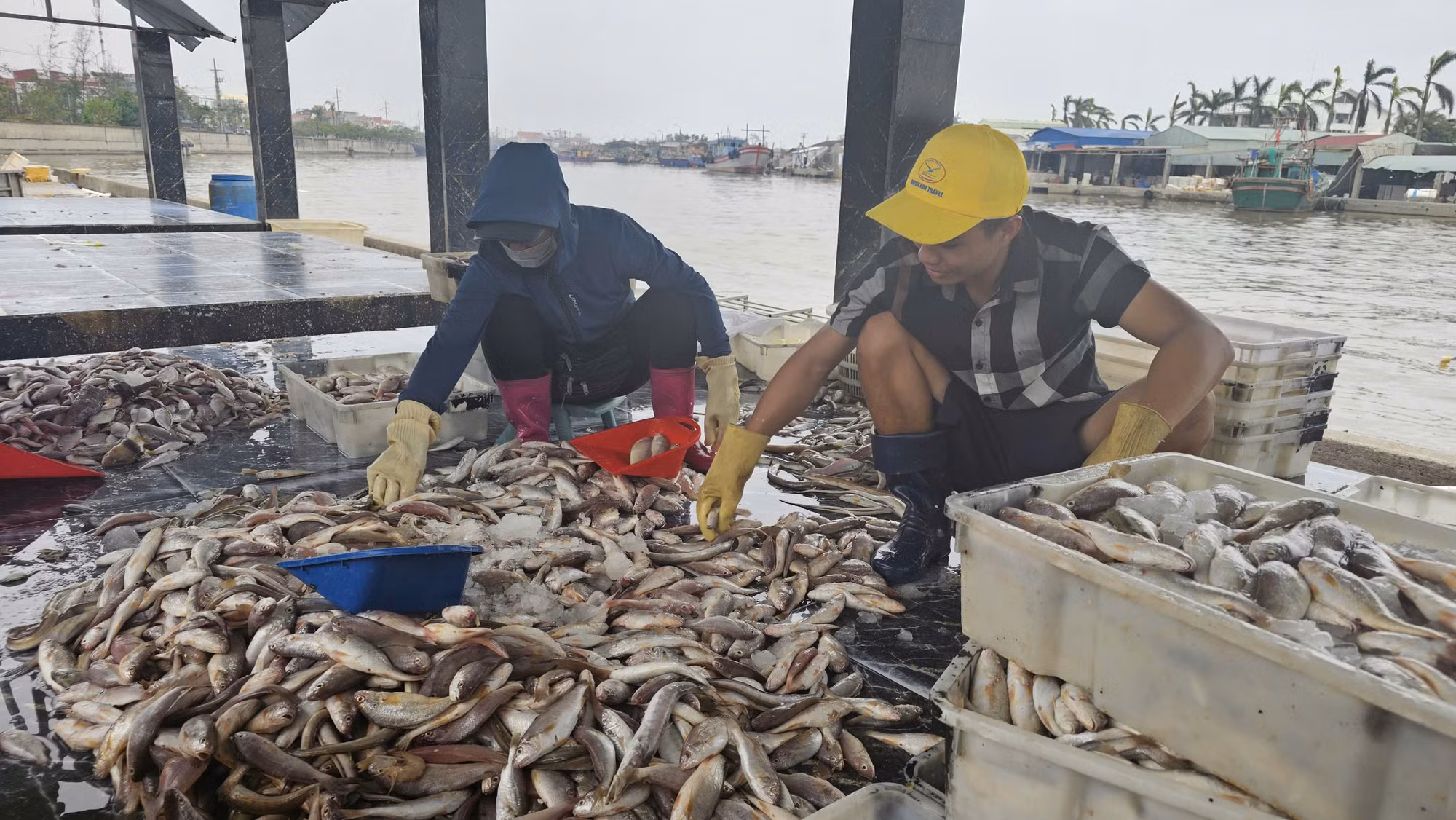 Ngư dân vùng tâm bão kiên cường vượt khó khăn để khắc phục hậu quả -0