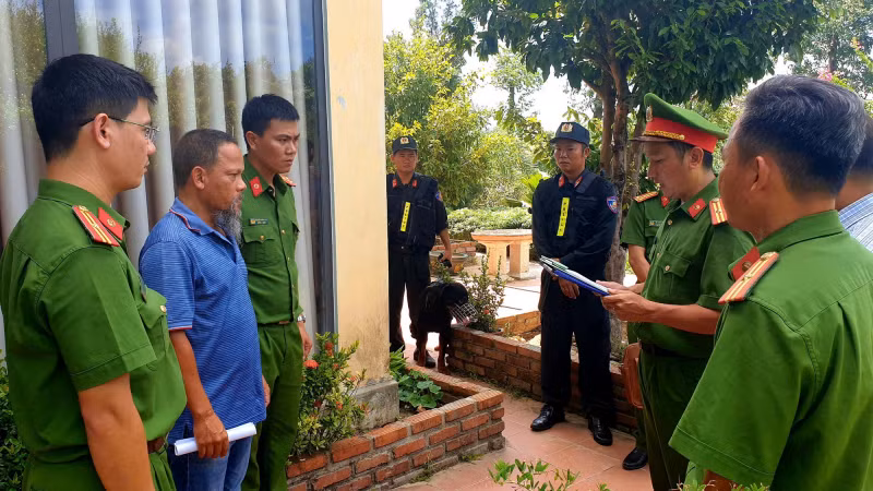 Khởi tố 3 bị can hủy hoại rừng ở TP Tuy Hòa -0