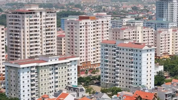 Xử lý hơn 8,8 nghìn hồ sơ về đất đai đang tồn đọng ở cơ quan thuế TP Hồ Chí Minh