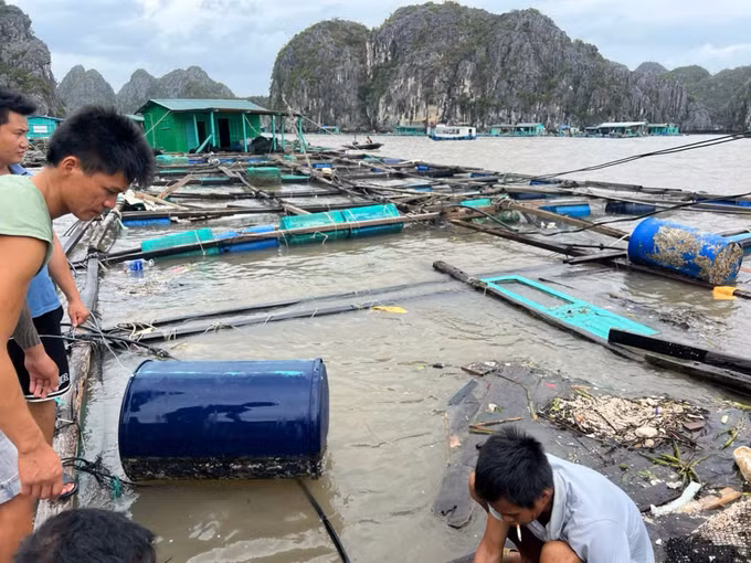 Ngư dân vùng tâm bão kiên cường vượt khó khăn để khắc phục hậu quả -0