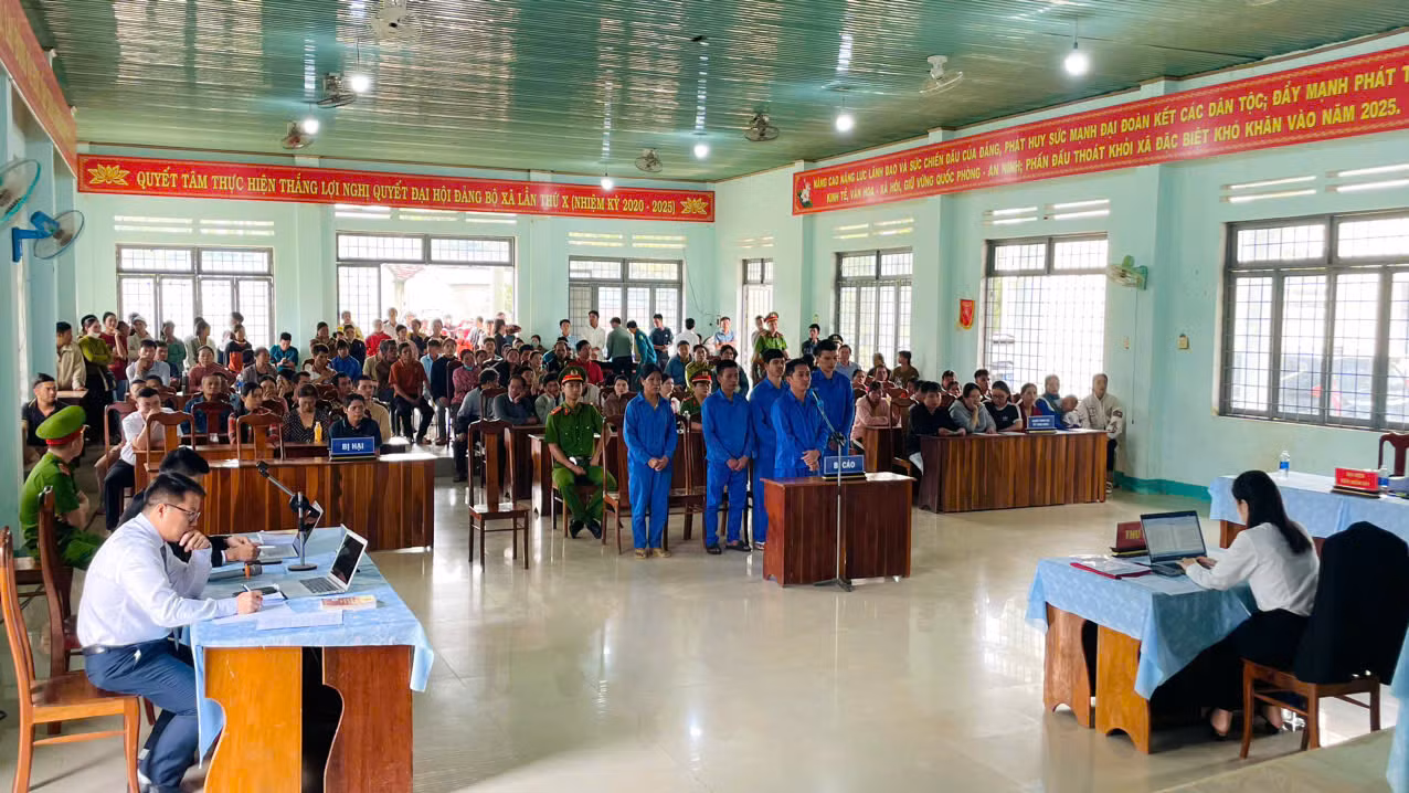 Xét xử vụ án hủy hoại rừng mà Báo CAND phản ánh -0