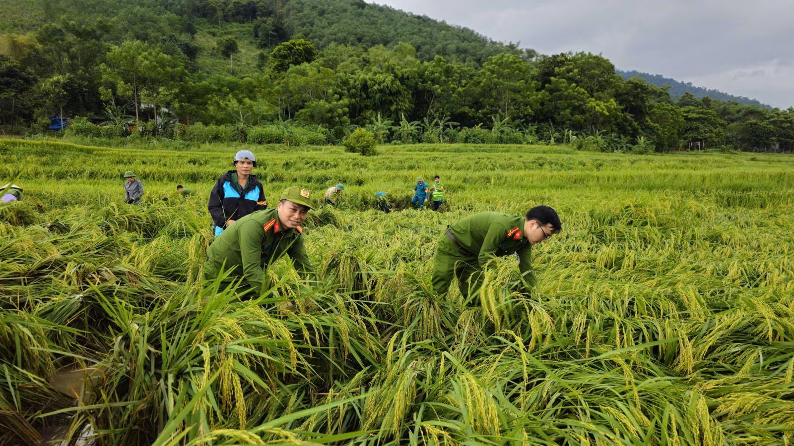 Công an tỉnh Thanh Hóa hỗ trợ nhân dân khắc phục hậu quả bão Yagi -0