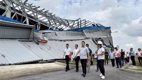 Tổng Công ty CP Bảo Minh hỗ trợ khách hàng, khắc phục hậu quả do bão số 3 gây ra