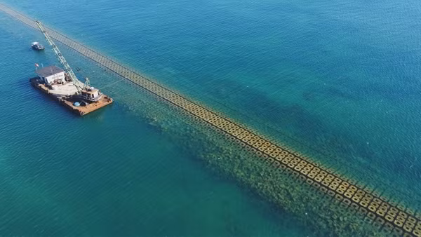 Hoàn thành tuyến đê ngầm chống sạt lở bờ biển Hội An trước mùa mưa bão