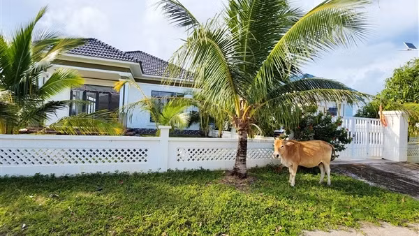 Cưỡng chế 14 căn biệt thự xây dựng không phép trên đất rừng phòng hộ tại Phú Quốc