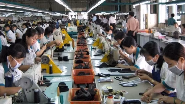 Sản phẩm xuất khẩu có “dấu chân carbon” sẽ đối mặt với thuế suất cao