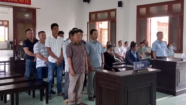 Xét xử vụ phá rừng tại Phú Yên: 5 án tù giam và 5 án treo