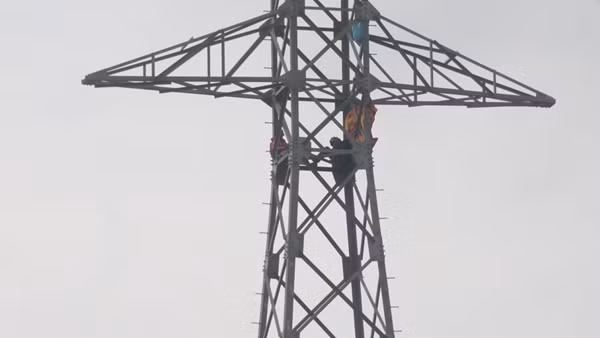 Ngồi vắt vẻo trên ngọn trụ điện cao thế... hóng gió