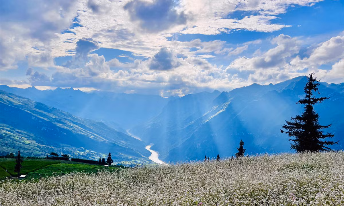 8hagiang-1662522284.jpg -0