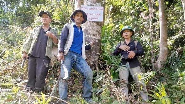 Hiệu quả bền vững khi cộng đồng tham gia bảo vệ và phát triển rừng