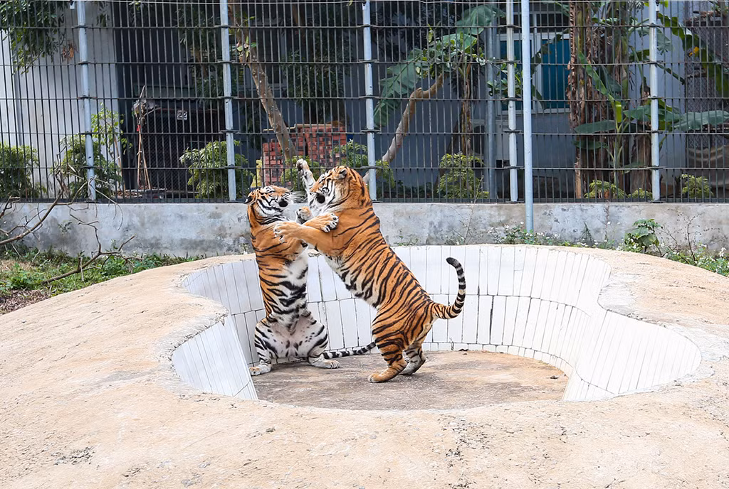 Những 
